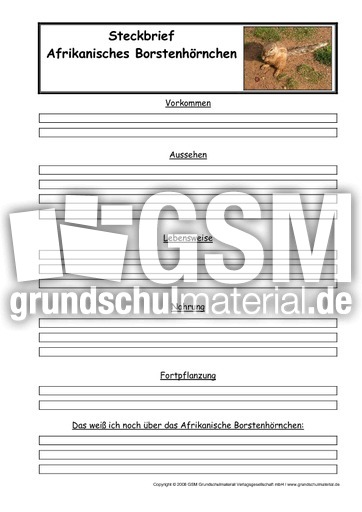 Afrikanisches-Borstenhörnchen-Steckbriefvorlage.pdf